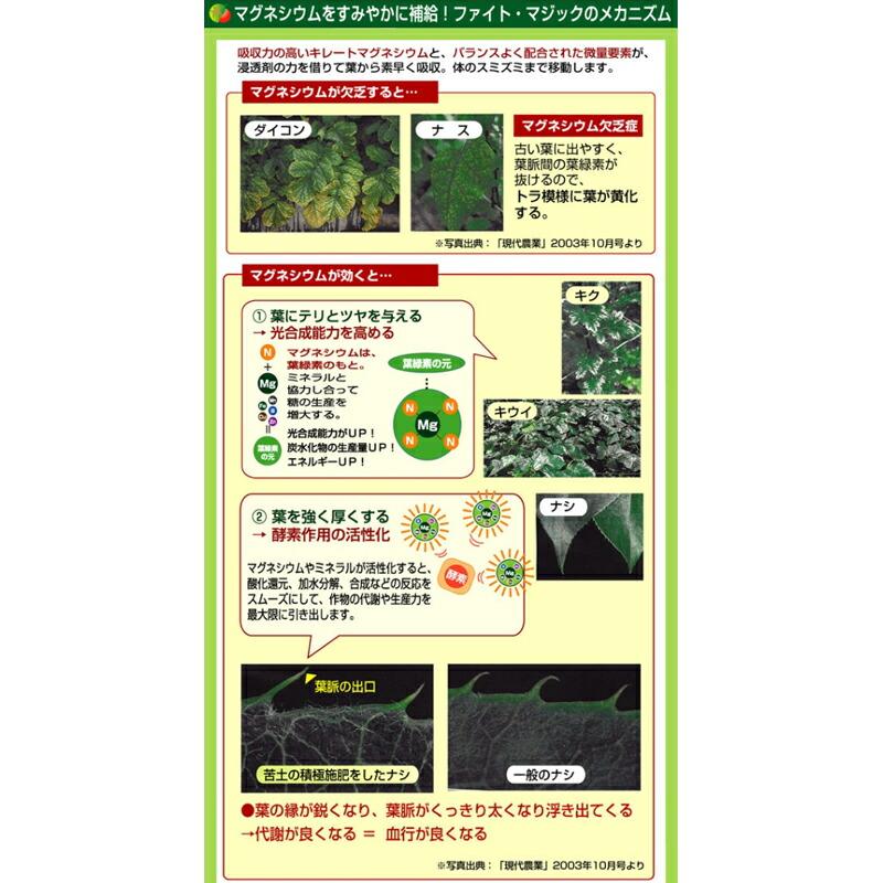 ファイト・マジック 1L ファイトクローム 肥料 マグネシウム 露地作物 水溶性 苦土 マンガン ホウ素 鉄 銅 亜鉛 果物 野菜 作物 農業 農園 園芸 畑 新ク D |  | 01