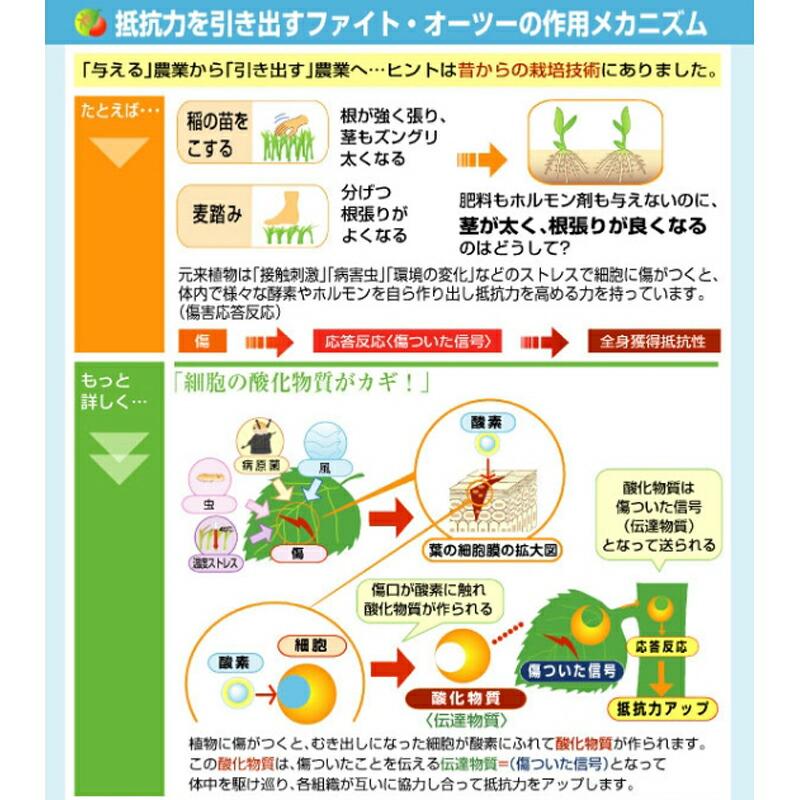 ファイト・オーツー 100ml ファイトクローム 肥料 葉中糖度向上 葉面