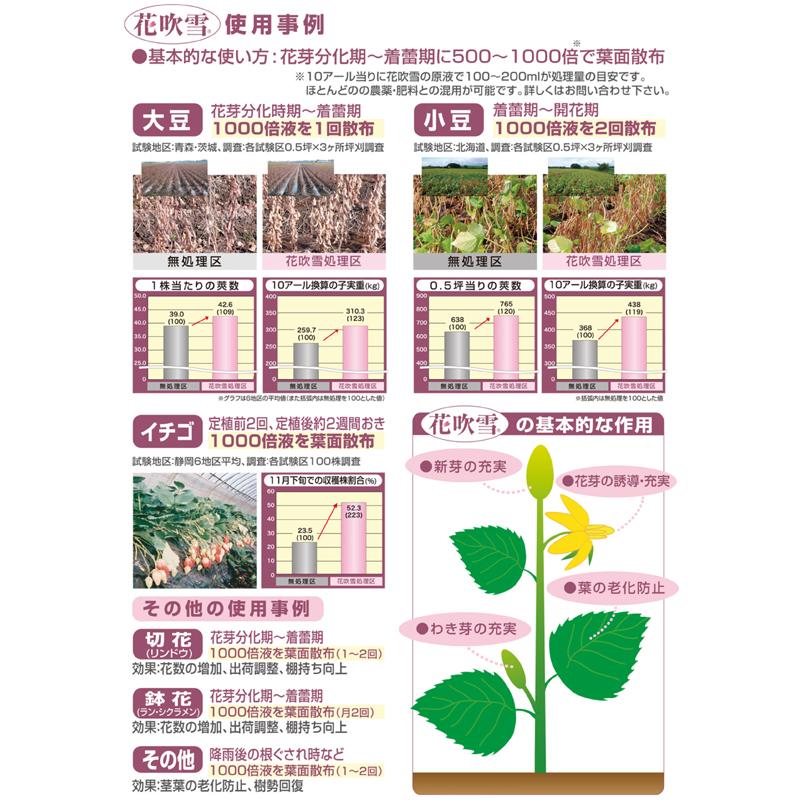 驚きの安さ 花吹雪 1l ファイトクローム 肥料 果菜類 花卉類 老化防止 微生物発酵有機物 切花 鉢花 果物 野菜 作物 農業 農園 園芸 畑 新ク D アウトレット Centrodeladultomayor Com Uy