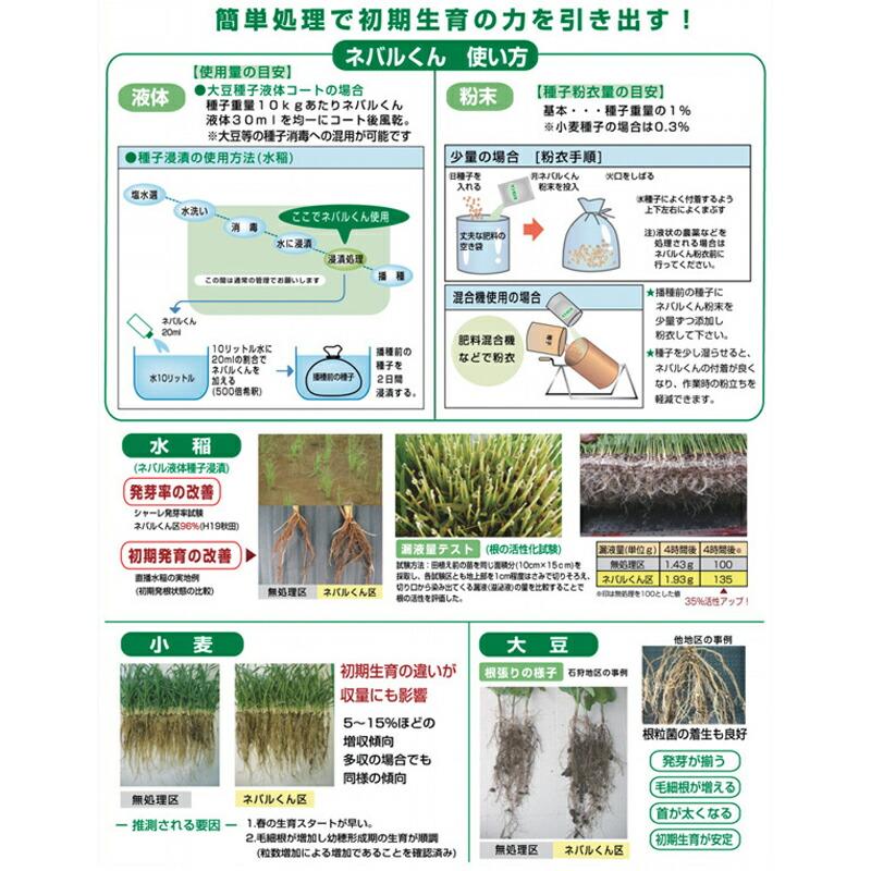 ネバルくん 粉末 1kg ファイトクローム 低コスト 収量 品質 肥料 大豆 麦 野菜 鉄コート直播水稲種子 ビートコート種子 作物 農業 農園 園芸 畑 新ク D |  | 02