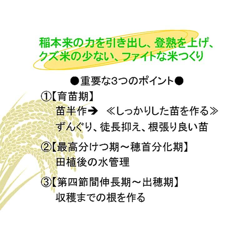 発泡型投げ込み剤 ファイトアップ 水田用 50g×10錠 ファイトクローム 肥料 メチオニン 根張り向上 10アール分 レンコンにも ファイト・アップ 新ク D |  | 01