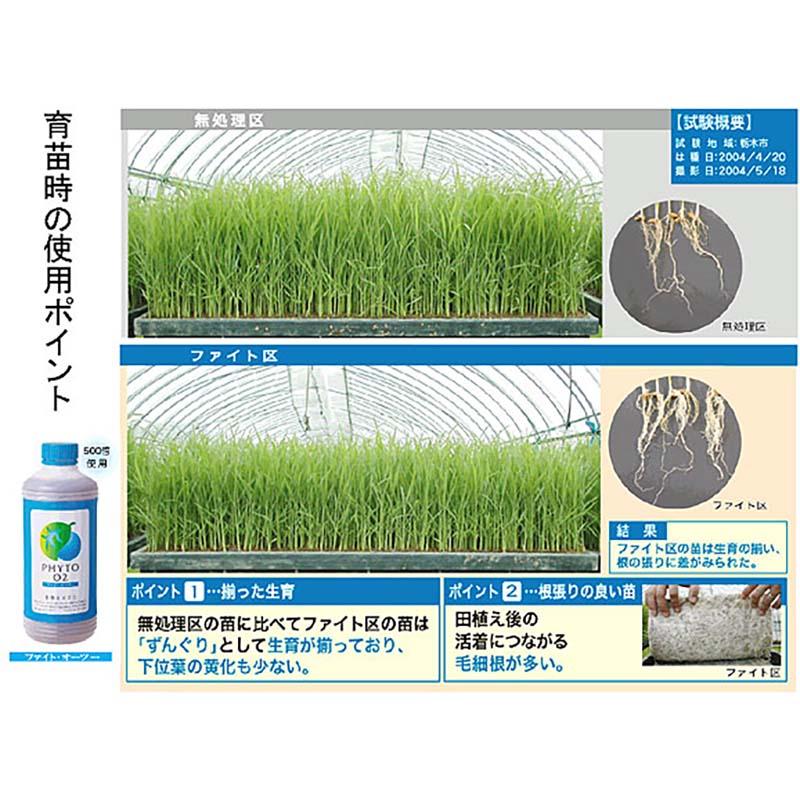 発根剤込み 発泡型投げ込み剤 ファイトアップ 水田用 50g×10錠 ファイトクローム