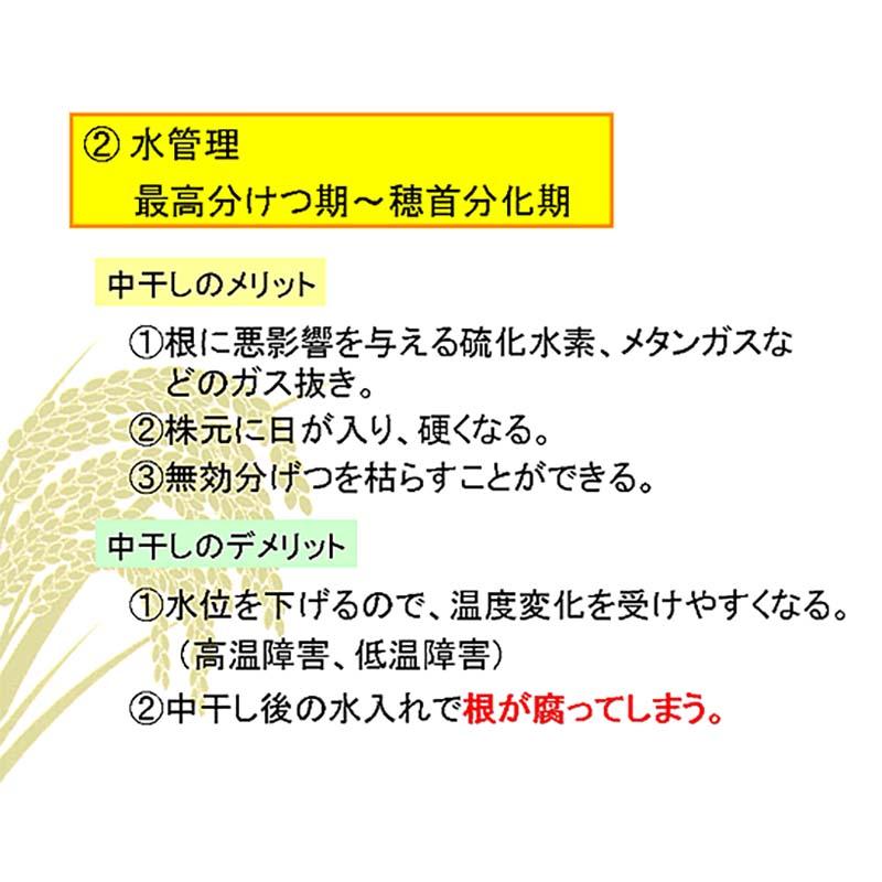発泡型投げ込み剤 ファイトアップ 水田用 50g×10錠 ファイトクローム 肥料 メチオニン 根張り向上 10アール分 レンコンにも ファイト・アップ 新ク D |  | 04