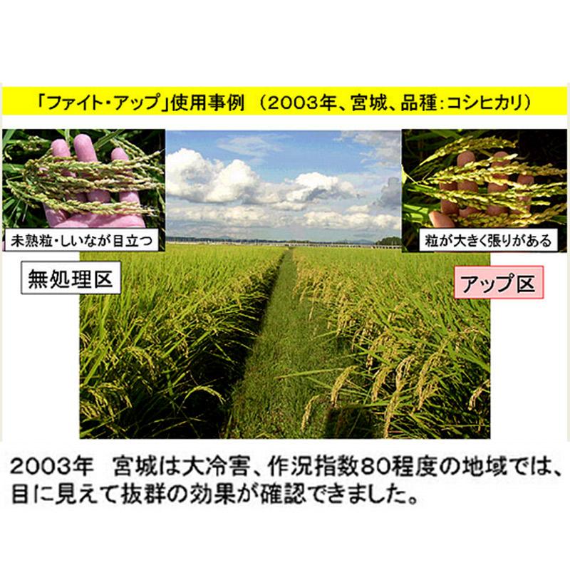 発泡型投げ込み剤 ファイトアップ 水田用 50g×10錠 ファイトクローム 肥料 メチオニン 根張り向上 10アール分 レンコンにも ファイト・アップ 新ク D |  | 08