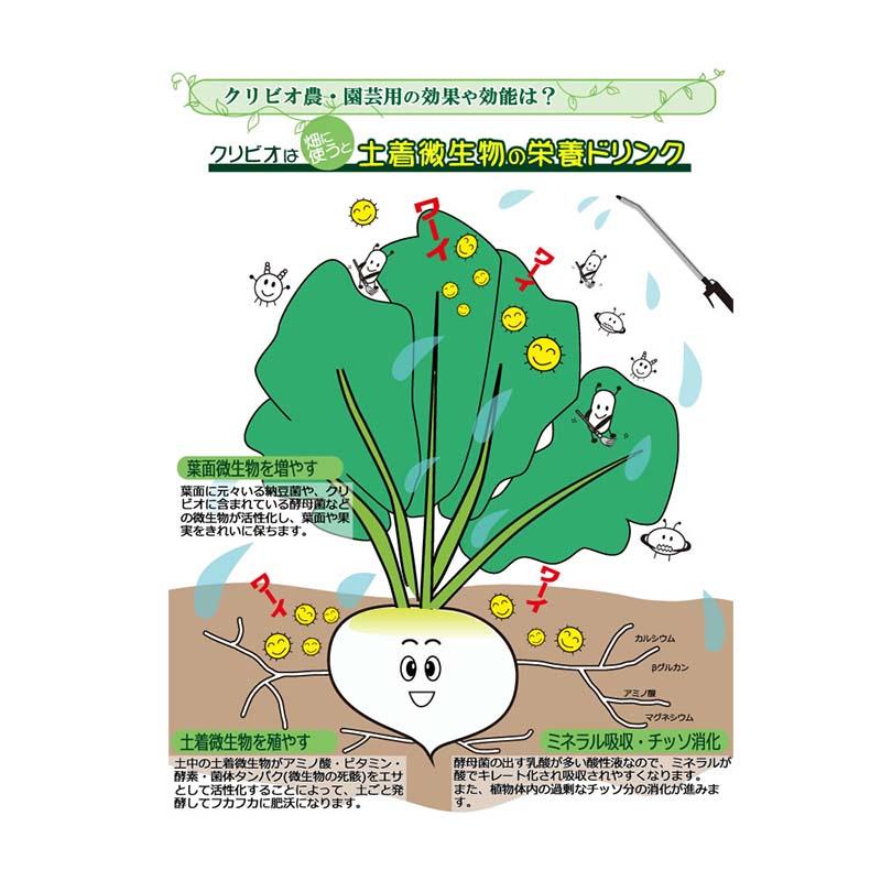クリビオ 20L 農園芸用 植物活性剤 活力 土壌改良 減農薬栽培 有機栽培 促進 果物 野菜 畑 農園 農業 農業用品 園芸 園芸用品 クリイジャパン 代引不可 |  | 01
