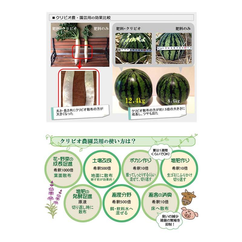 クリビオ 20L 農園芸用 植物活性剤 活力 土壌改良 減農薬栽培 有機栽培 促進 果物 野菜 畑 農園 農業 農業用品 園芸 園芸用品 クリイジャパン 代引不可 |  | 02