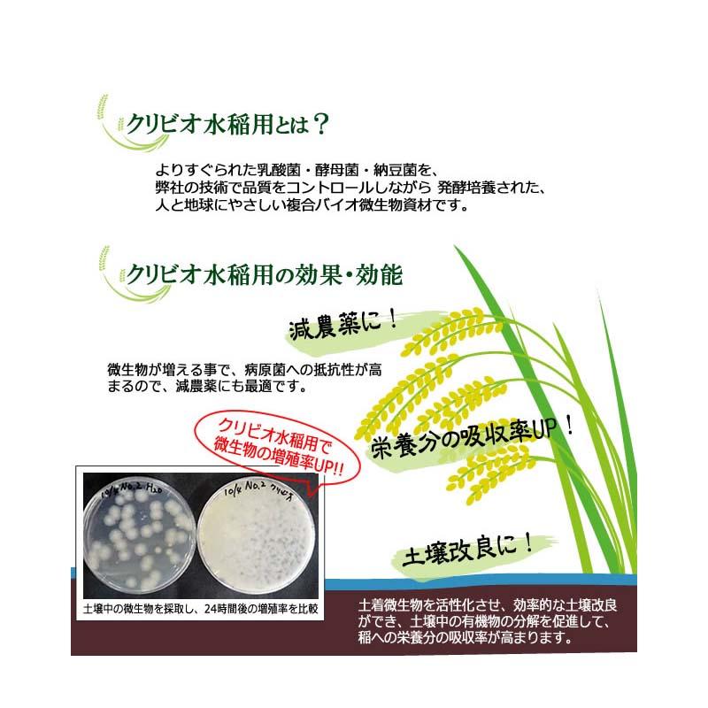 クリビオ 水稲用 20L 植物活性剤 活力 土壌改良 減農薬栽培 有機栽培 促進 水田 水稲 農業 農園 園芸 畑 クリイジャパン 代引不可 |  | 01
