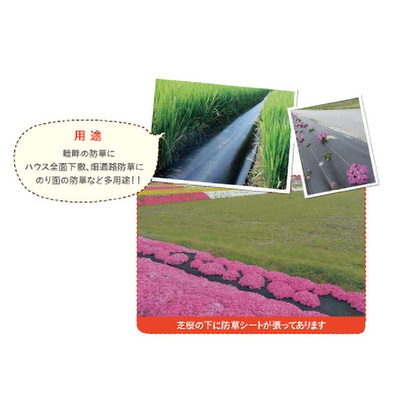 TO イージーシート 防草シート 黒 2m × 100m 防草 シート 雑草防止 雑草対策 東海化成 京G 個人宅配送付不可 北海道不可 代引不可 |  | 01