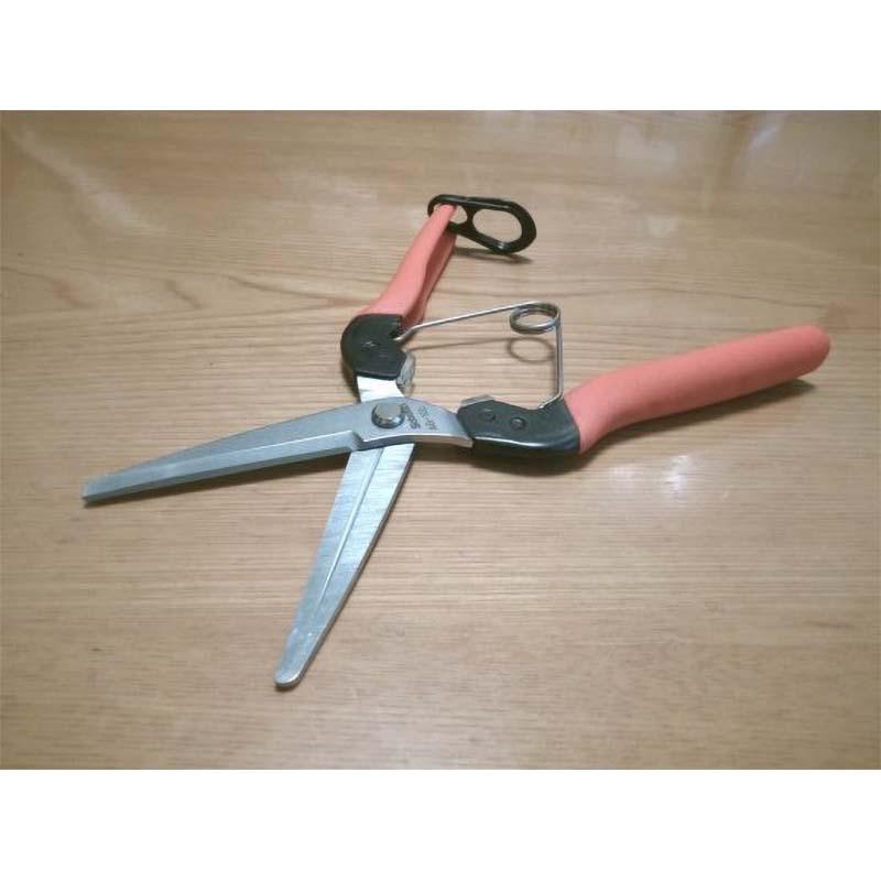 左利き用 青果鋏 No.AG-10L 収穫 鋏 はさみ ハサミ 園芸 ガーデニング 農業 左きき タマネギ 茄子 メロン 花弁 サボテン カSD |  | 01