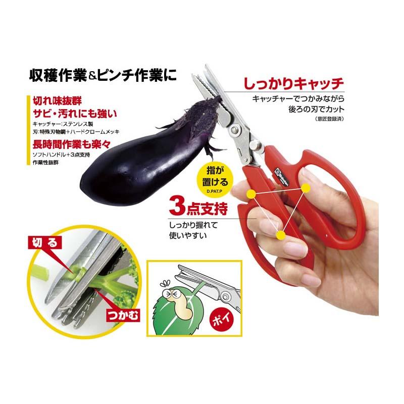 切ってつかめるキャッチ鋏 No.AG-15 収穫 鋏 はさみ ハサミ 園芸 ガーデニング 農業 カSD |  | 01