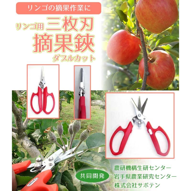 三枚刃摘果鋏 ダブルカット りんご用 No.AG-18 収穫 摘果 鋏 はさみ ハサミ 園芸 ガーデニング 農業 サボテン カSD |  | 01