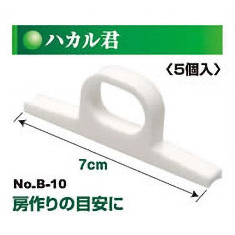 ぶどうハカル君 5個入 No.B-10 ぶどう 葡萄 ブドウ メジャー 園芸 ガーデニング 果樹 サボテン カSD |  | 01