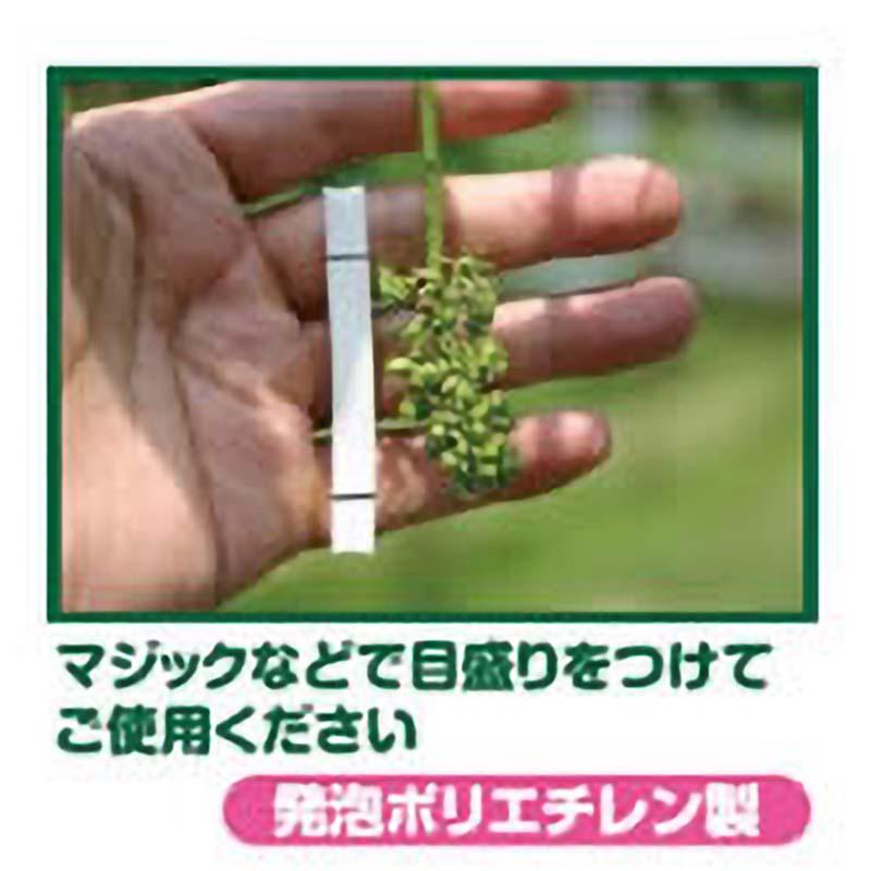 ぶどうハカル君 5個入 No.B-10 ぶどう 葡萄 ブドウ メジャー 園芸 ガーデニング 果樹 サボテン カSD |  | 02