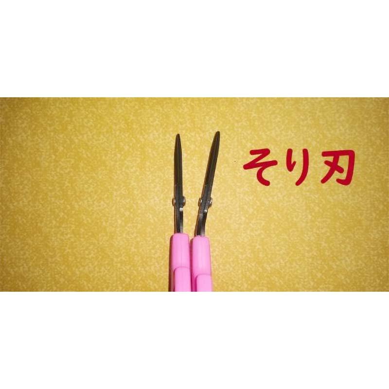 先丸 ぶどう鋏 そり刃 No.B-6M ブドウ 鋏 はさみ ハサミ 園芸 ガーデニング 農業 果樹 葡萄 サボテン カSD |  | 02