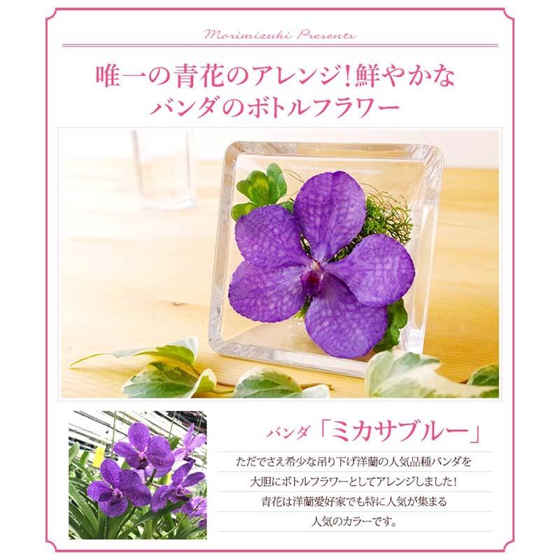 国産 ボトルフラワー 森のグラスブーケ ルビー バンダ A004 ギフト プリザーブドフラワー ガラスドーム 花 プレゼント 宮川洋蘭 宮y 代引不可 農業用品販売のプラスワイズ 通販 Yahoo ショッピング