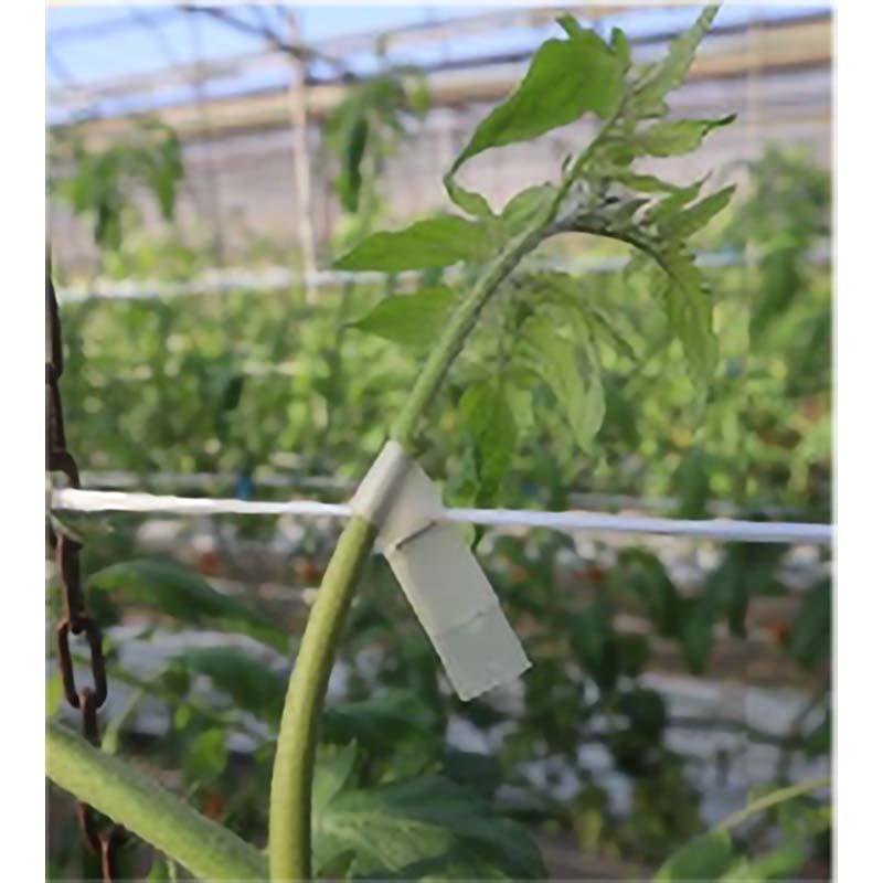 園芸用 誘引結束機 楽らくテープナー HT-R45C 園芸 誘引 結束 マックス サT DZ |  | 02