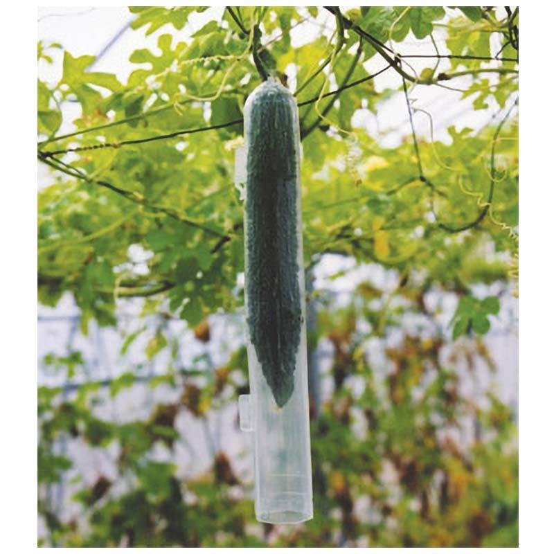 スマート きゅうり用 曲がり解消 農薬から保護 ワンタッチ式 キュウリ 胡瓜 ナスニックス タS 代引不可 | 