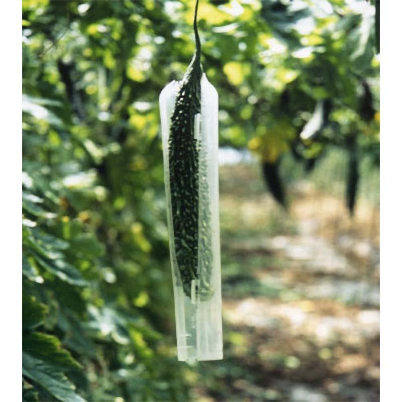 スマート きゅうり用 曲がり解消 農薬から保護 ワンタッチ式 キュウリ 胡瓜 ナスニックス タS 代引不可 |  | 02