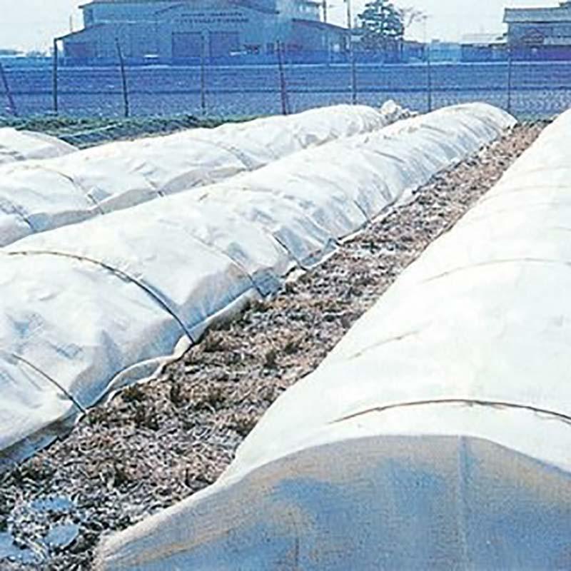 5本 ホットンカバー #227 2mm厚 2.7×50m 保温シート 寒冷紗 育苗 保温 園芸 東京戸張 個人宅配送不可 代引不可 |  | 01