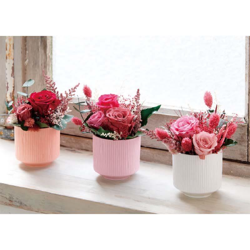 6個 プリュイポット 7cm Mc 1901 155 1901 フラワーベース フラワーアレンジメント 花器 陶器 松k Shdjo9yfv5 Abr Ee