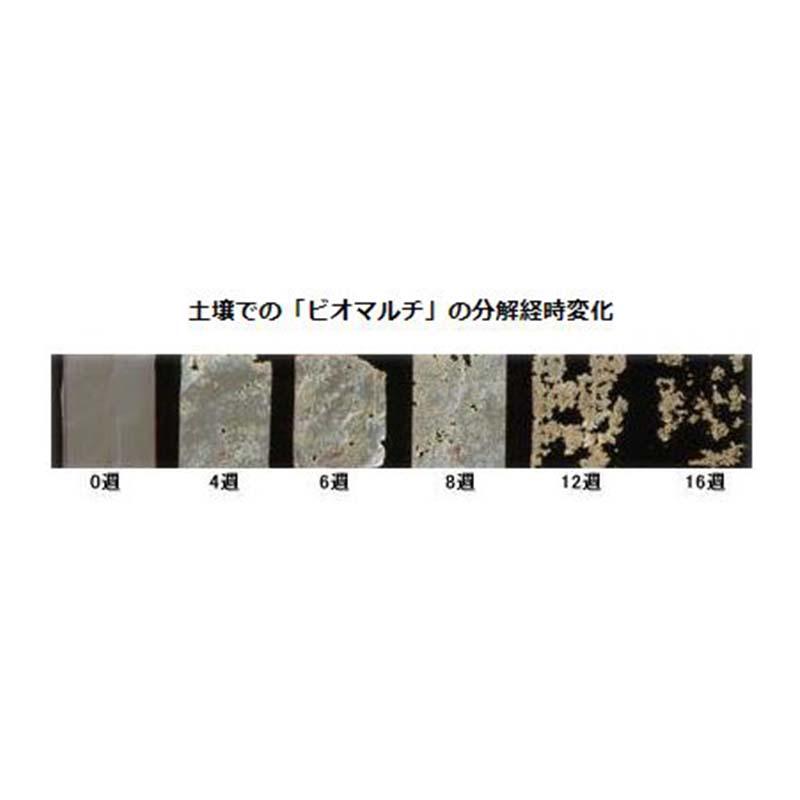 菜園用 ビオトップ 黒 10本入 生分解性フィルム 無孔品 0.018mm×135cm×50m マルチ 菜園 フィルム タS 個人宅配送不可 代引不可 |  | 01
