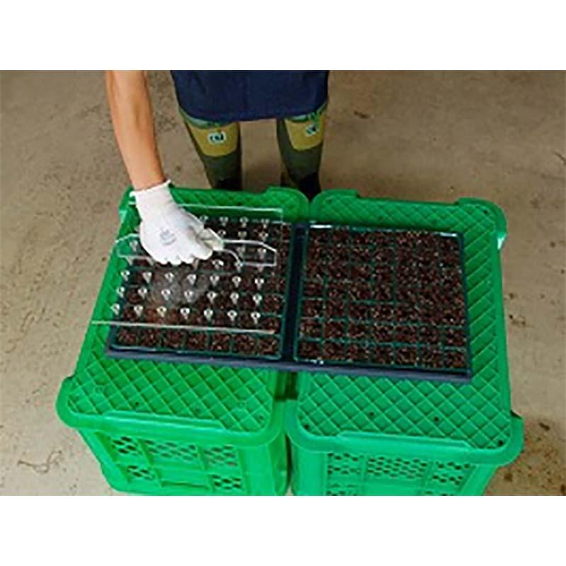 ポットホーラー セルトップ用 50穴 ダブル 播種穴 穴あけ 農業 育苗 広田産業 個人宅配送不可 サT 代引不可 |  | 01
