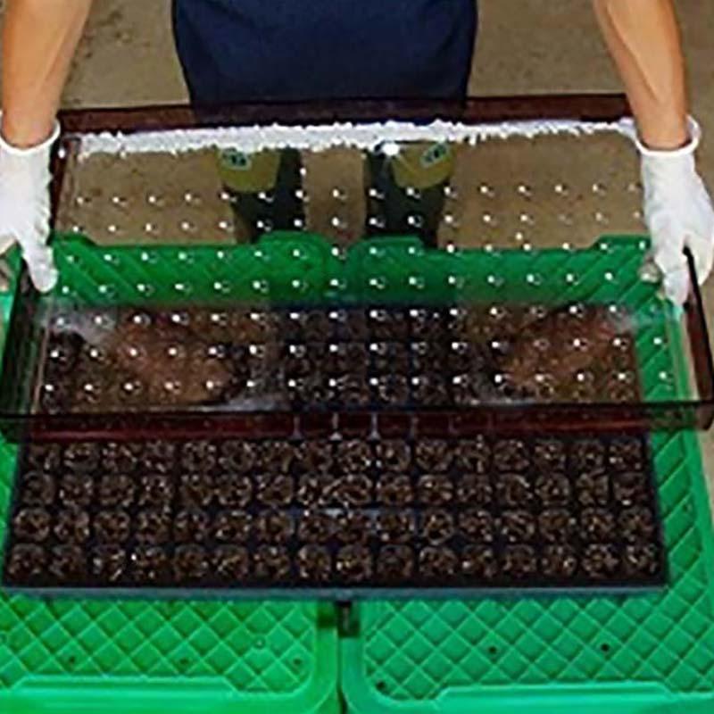 ハンドシーダー セルトップ用 200穴 シングル 播種 ポット播種器 農業 育苗 広田産業 個人宅配送不可 サT 代引不可 | 