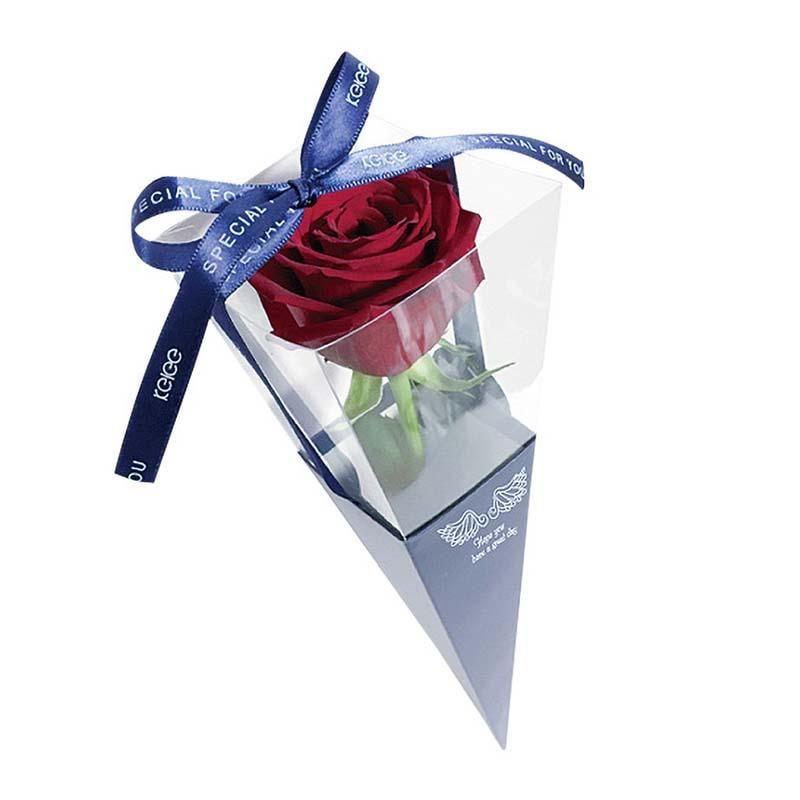 シンプルケース 30枚入 766503 花材 フラワーケース フラワーアレンジ ラッピング プレゼント ギフト 松K 代引不可 |  | 01