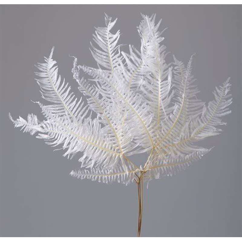 山シダ 白 76-50290-11 ヤマシダ プリザーブドフラワー プリザーブドリーフ 花材 大地農園 松K 代引不可 | 