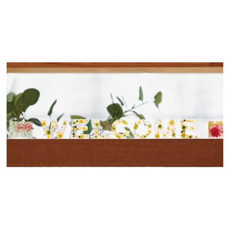 プレキュアハーバリウム 硬化液 500ml ハード 799-470027-0 ハーバリウム 花材 花資材 松K 代引不可 |  | 01