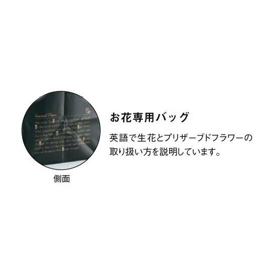 10枚入 ボンボンバッグ L 162-3082-0 紙袋 手提げ袋 ギフト 袋 花材 花資材 松K 代引不可 |  | 01
