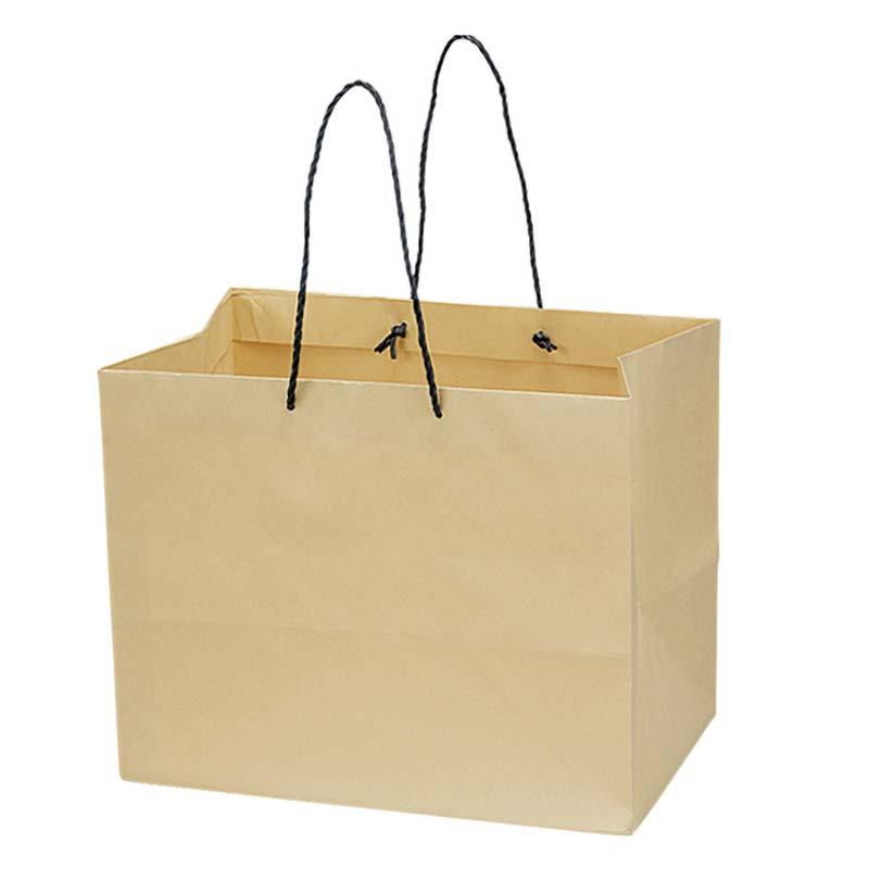 10枚 ペーパーバッグ BL 162-65922-0 紙袋 手提げ袋 ギフト 袋 花材 花資材 松K 代引不可 | 