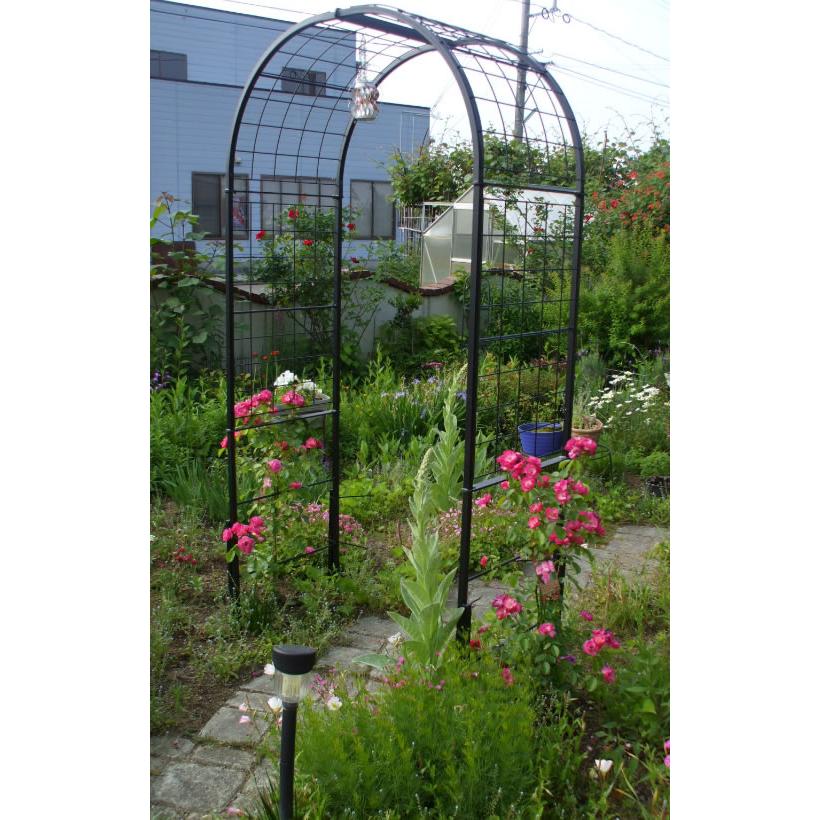 フラワーアーチ クレメント α アルファ 間口100 No.280 小KD |  | 01