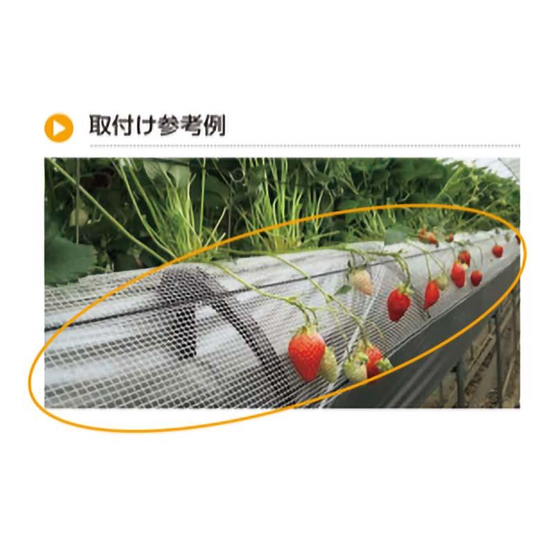 受注生産 イチゴ用ネット クキサポートアーム 専用 ネット CP-656-N-1 タキゲン TAKIGEN イチゴ 苺 茎 サポート 農業 園芸 作物 畑 ガーデニング サT 代引不可 |  | 02