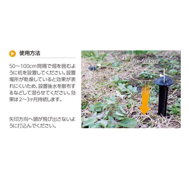 モグラ ネズミ用 忌避杭 モグラン棒 2000本 C-691-1 タキゲン 害獣対策 農業 園芸 作物 畑 ガーデニング サT 代引不可 |  | 01