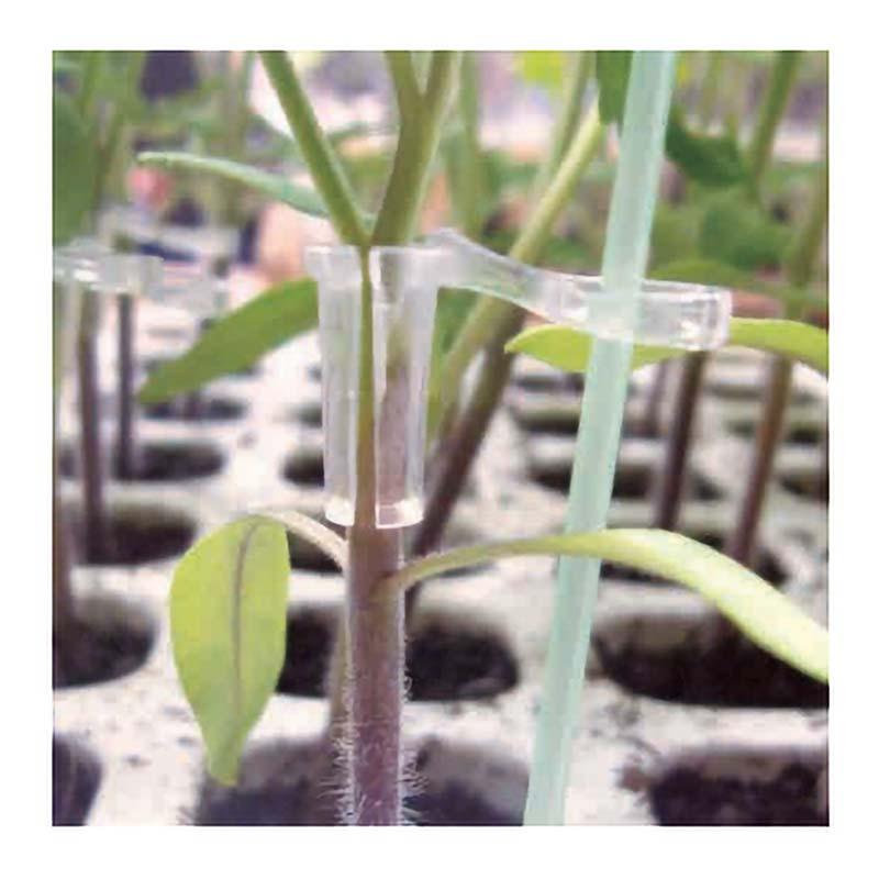 サポート付 グラフトチューブ 5000個 内径1.7mm CP-616-2 タキゲン ナス 茄子 接ぎ木 農業 園芸 作物 畑 ガーデニング サT 代引不可 |  | 02