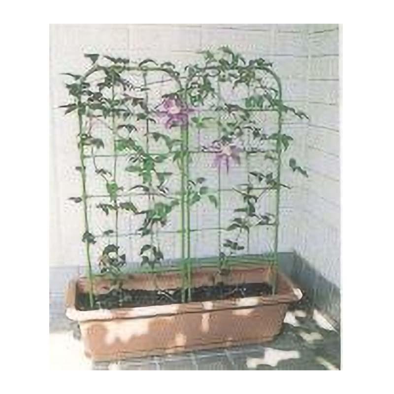 50セット フラワースクリーン 75型 幅26×75cm 支柱 花 園芸 第一ビニール 金TD |  | 01