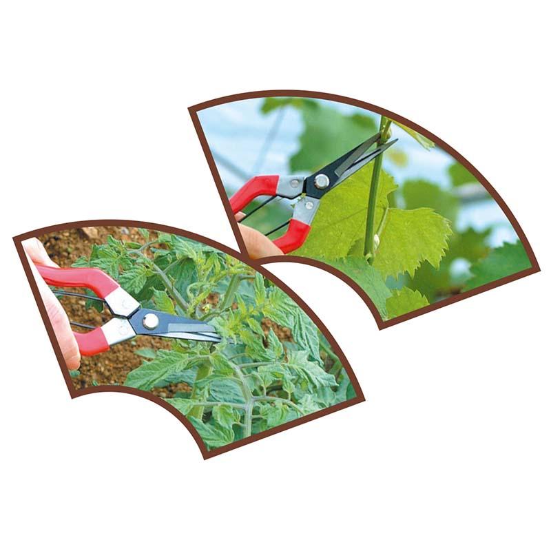 芽切鋏 190mm No.SR-002 芽切り はさみ 鋏 切り花 園芸 龍宝丸 高芝ギムネ 三冨D |  | 01