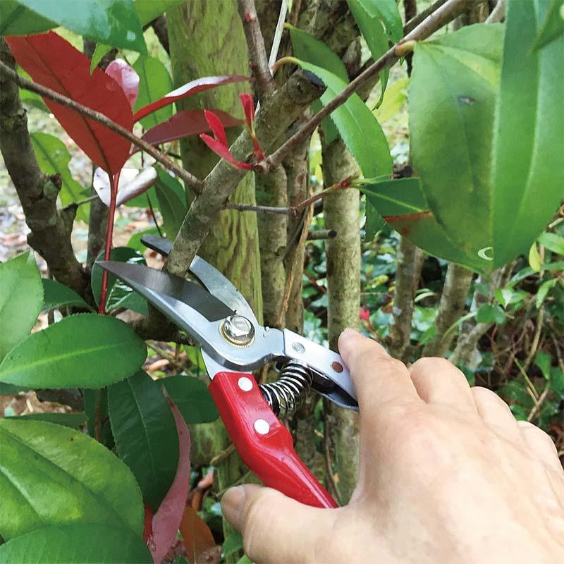 剪定鋏 195mm No.SR-003 剪定 はさみ 鋏 ガーデニング 園芸 龍宝丸 高芝ギムネ 三冨D |  | 01