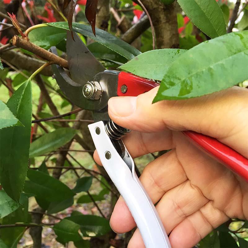 剪定鋏 195mm No.SR-003 剪定 はさみ 鋏 ガーデニング 園芸 龍宝丸 高芝ギムネ 三冨D |  | 02