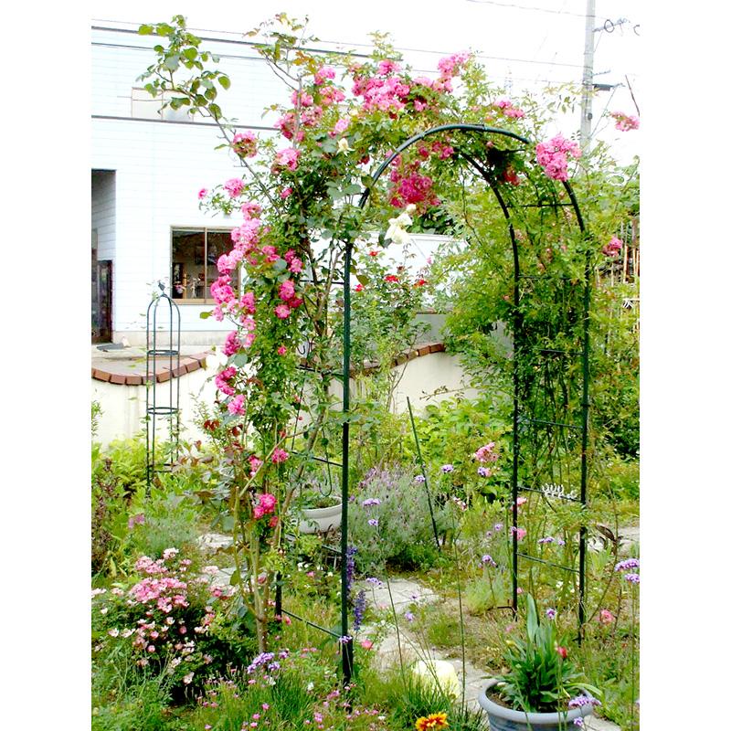 フラワーアーチ 普及型 グリーンガーデン W120×H240×D40 No.216 薔薇アーチ ガーデンアーチ 園芸 ローズ 蔦 ラティス 丈夫 しっかり 小KD |  | 01
