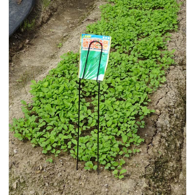 12セット シードパケットホルダー 3個入 No.601 植物ラベル GREENGARDEN グリーンガーデン 小林金物 庭 農業 家庭菜園 園芸 ガーデニング D |  | 02