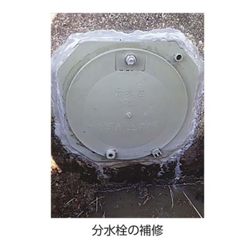 e-パテ 500gセット 基剤250g+硬化剤250g パテ 補修 耐水性 小泉製麻 個人宅配送不可 代引不可 |  | 01