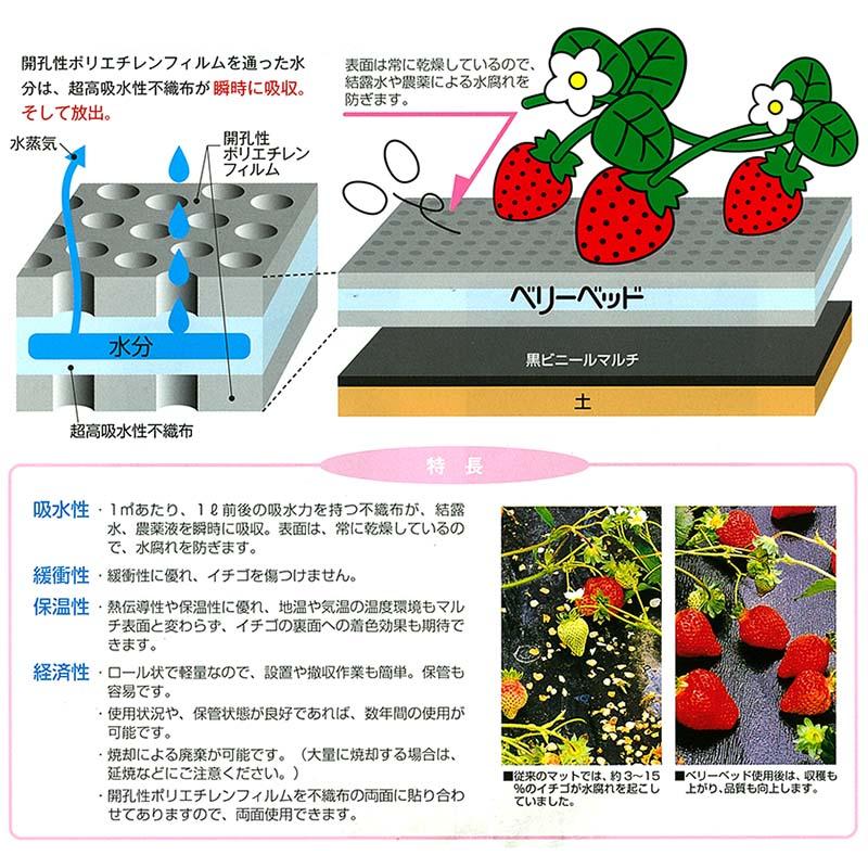 5本 ベリーベッド NW70N-20 20cm×50m いちご 栽培用 緩衝 吸水マット 苺 イチゴ ベリーベット ベル開発 カ施 北海道不可 代引不可 |  | 01