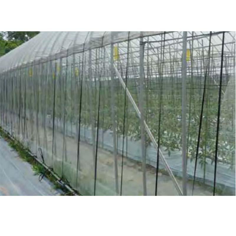 さらら銀河 目合4mm 135cm×100m ハチの飛び出し防止用ネット 防虫ネット ビニールハウス ハウス資材 小泉製麻 個人宅配送不可 代引不可 |  | 01