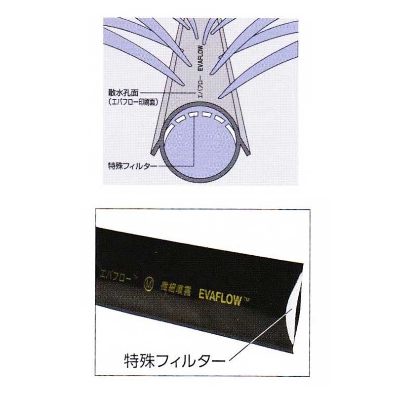 灌水チューブ エバフロー A型 100m 噴霧型ポンチ穴 MKVアドバンス 潅水