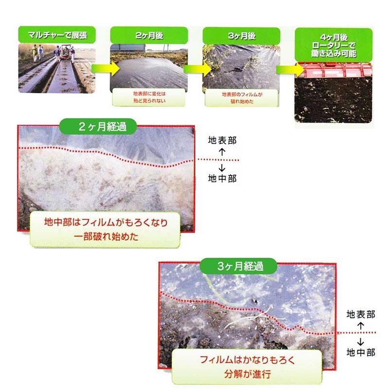 2本 生分解性マルチフィルム カエルーチ 黒 無孔 0.018mm×135cm×200m 生分解 マルチ MKVアドバンス カ施 受注生産品 個人宅配送不可 代引不可 |  | 02