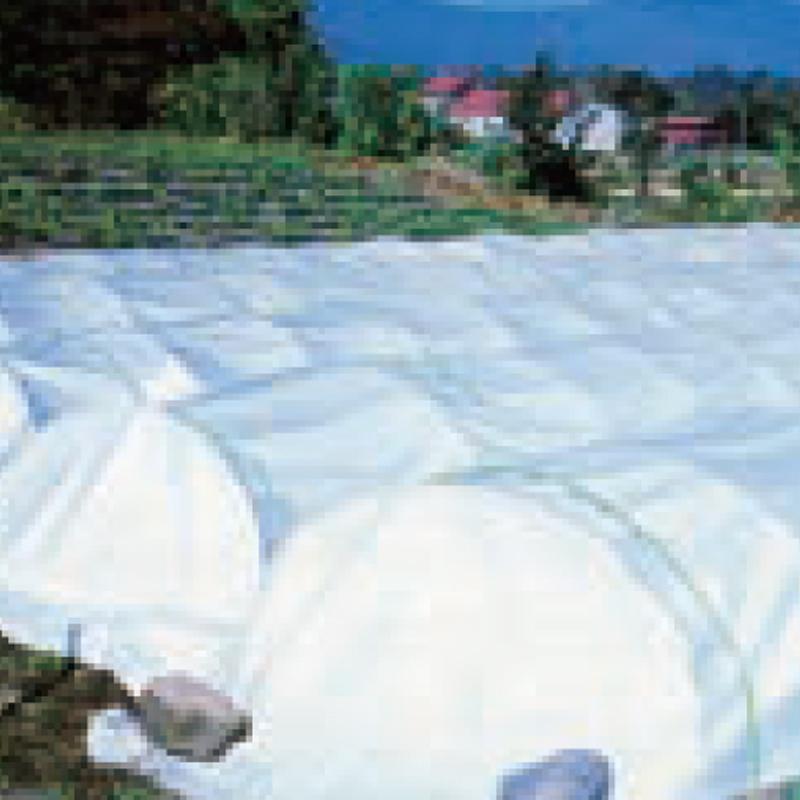 育苗用 ハイマット 230cm × 50m 低発泡 ポリエチレンシート 水稲 育苗 保温資材 断熱 透光 出芽 緑化 夜間 保温 MKVアドバンス カ施 個人宅配送不可 代引不可 |  | 02