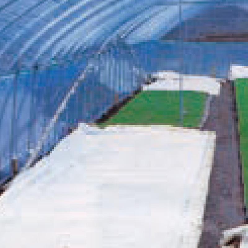 育苗用 ハイマット 230cm × 25m 低発泡 ポリエチレンシート 水稲 育苗 保温資材 断熱 透光 出芽 緑化 夜間 保温 MKVアドバンス カ施 個人宅配送不可 代引不可 |  | 01