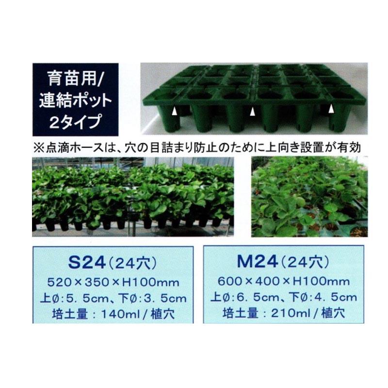 連結ポット 育苗用 25個入 24穴 M24 600×400×100mm ランナー採り用 いちご炭疽病対策 セリエ 個人宅配送不可 代引不可 |  | 01